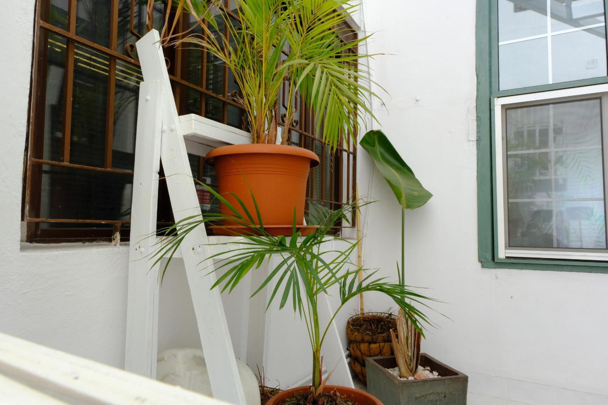 Rooftop Dreamhouse - 3Br With Seaviews 圣克鲁斯-德拉帕尔马 外观 照片