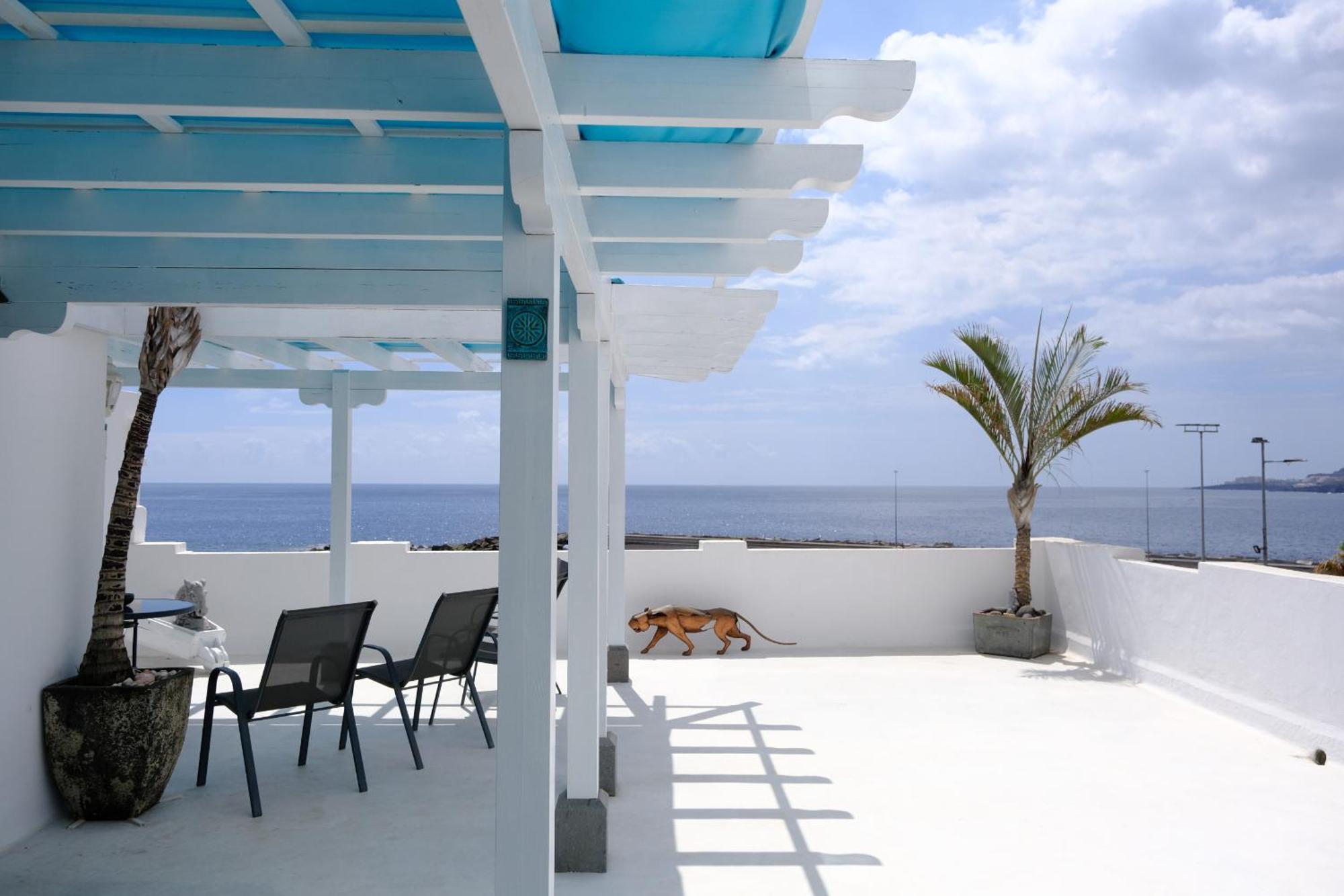 Rooftop Dreamhouse - 3Br With Seaviews 圣克鲁斯-德拉帕尔马 外观 照片